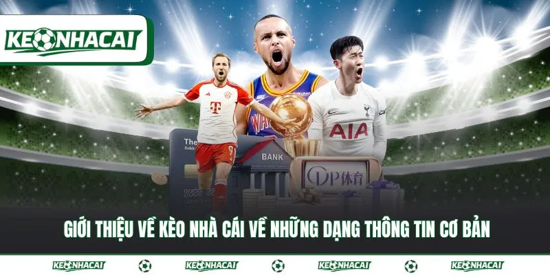Giới thiệu về Kèo nhà cái 3 Giới thiệu về Kèo nhà cái về những dạng thông tin cơ bản
