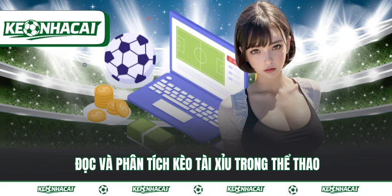 Kèo tài xỉu - Cách đọc kèo cược chuẩn xác và hấp dẫn 3 Đọc và phân tích kèo tài xỉu trong thể thao