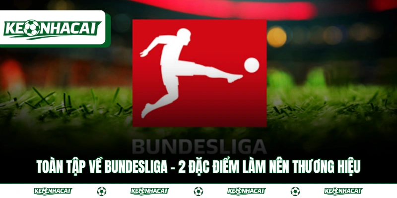 Toàn Tập Về Bundesliga - 2 Đặc Điểm Làm Nên Thương Hiệu 4 Toàn Tập Về Bundesliga - 2 Đặc Điểm Làm Nên Thương Hiệu
